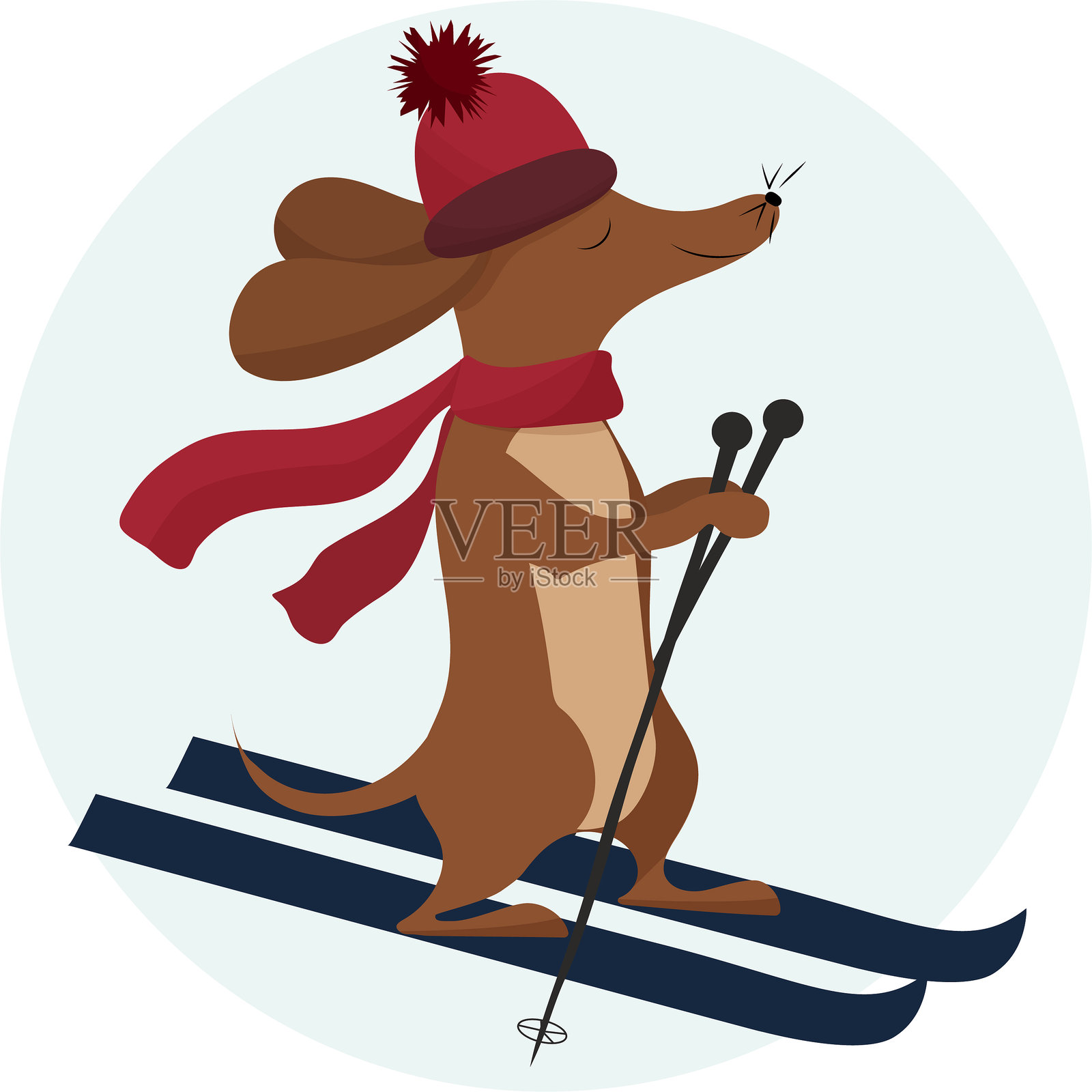 可爱的腊肠犬矢量插画,正在滑雪下坡,戴着一顶带绒球的暖红色帽子和配套的围巾。插画图片素材