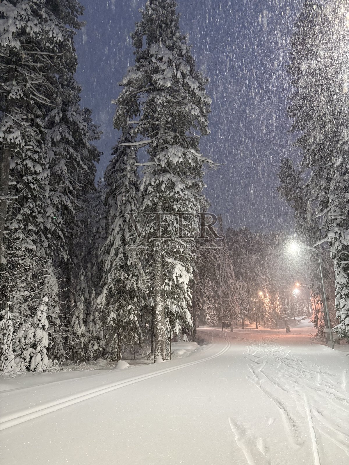 森林中的雪景照片摄影图片