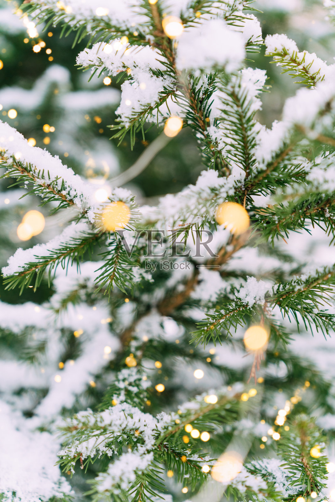 冬季雪景中,挂满温暖节日彩灯的松树。节日氛围,新年贺卡样机。照片摄影图片