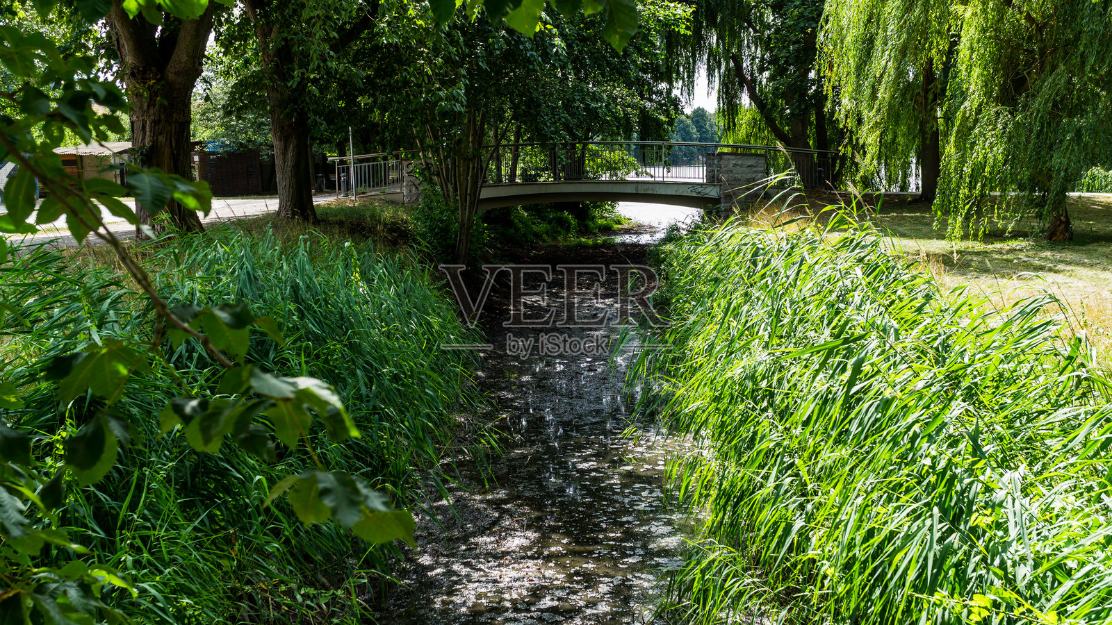 夏季施滕达尔公园的小溪照片摄影图片