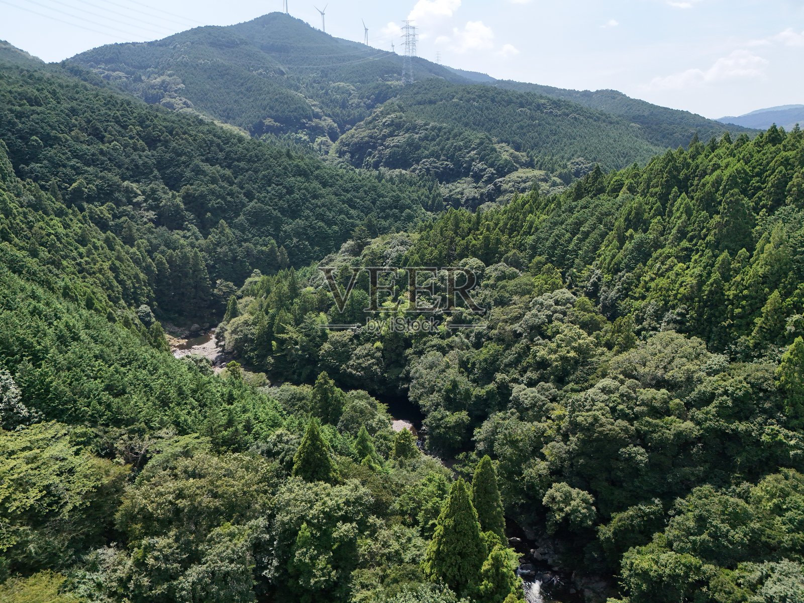 一片郁郁葱葱的森林,一条河流穿行其中。照片摄影图片