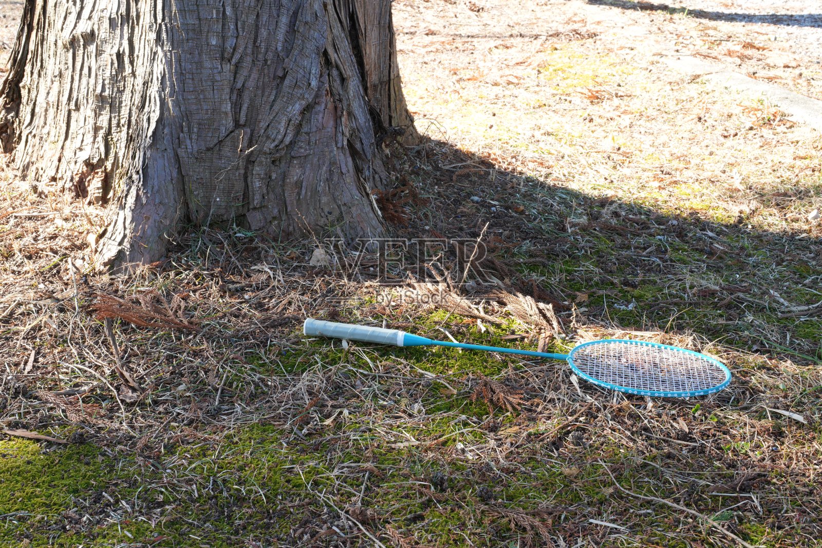 网球拍放在树旁的地上照片摄影图片