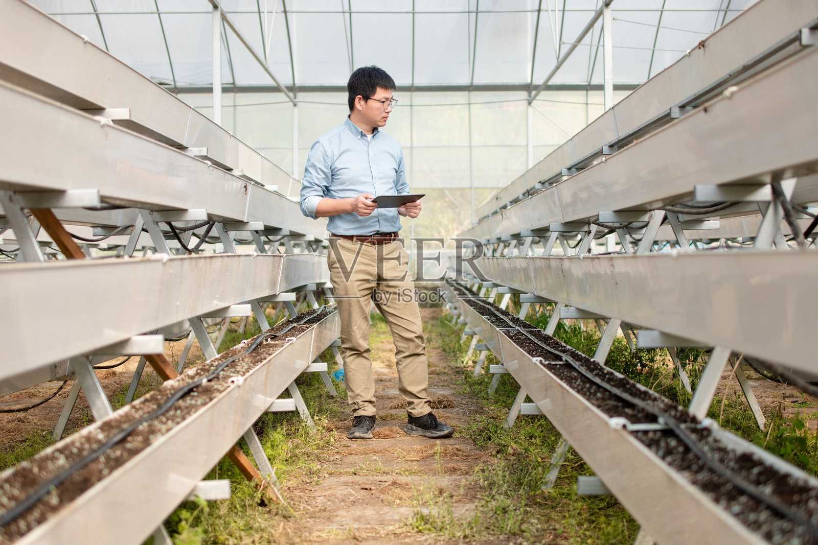 男性技术人员在温室检查设备照片摄影图片