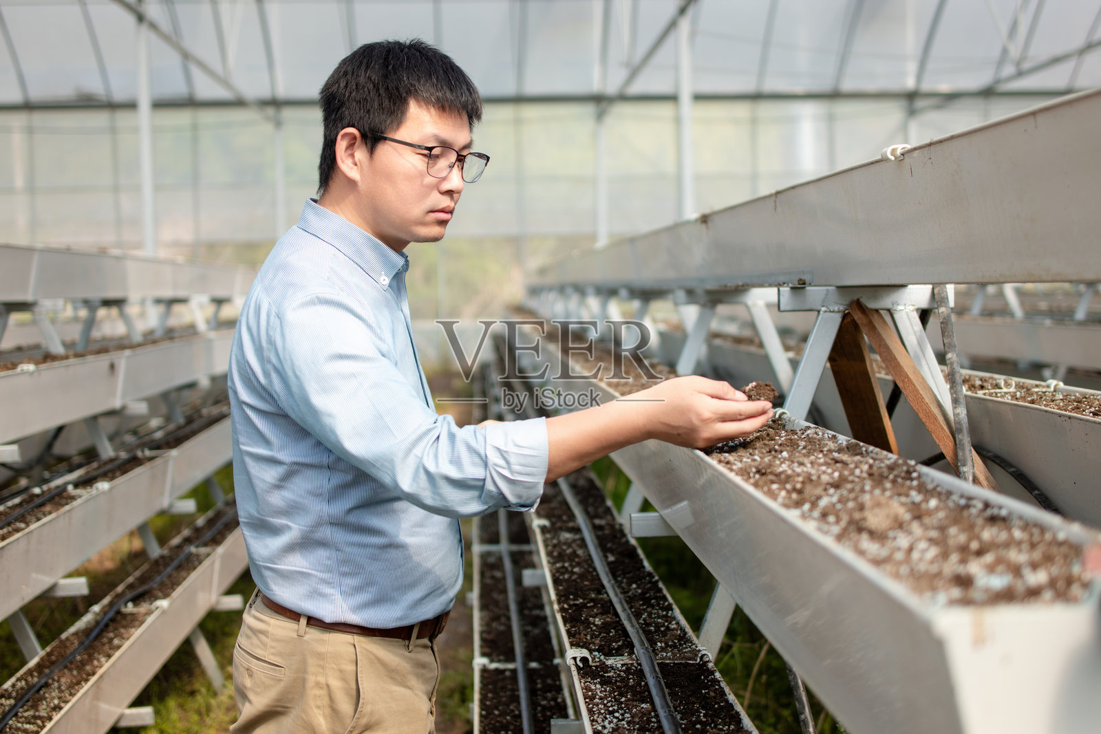 温室男子查看培育基质照片摄影图片