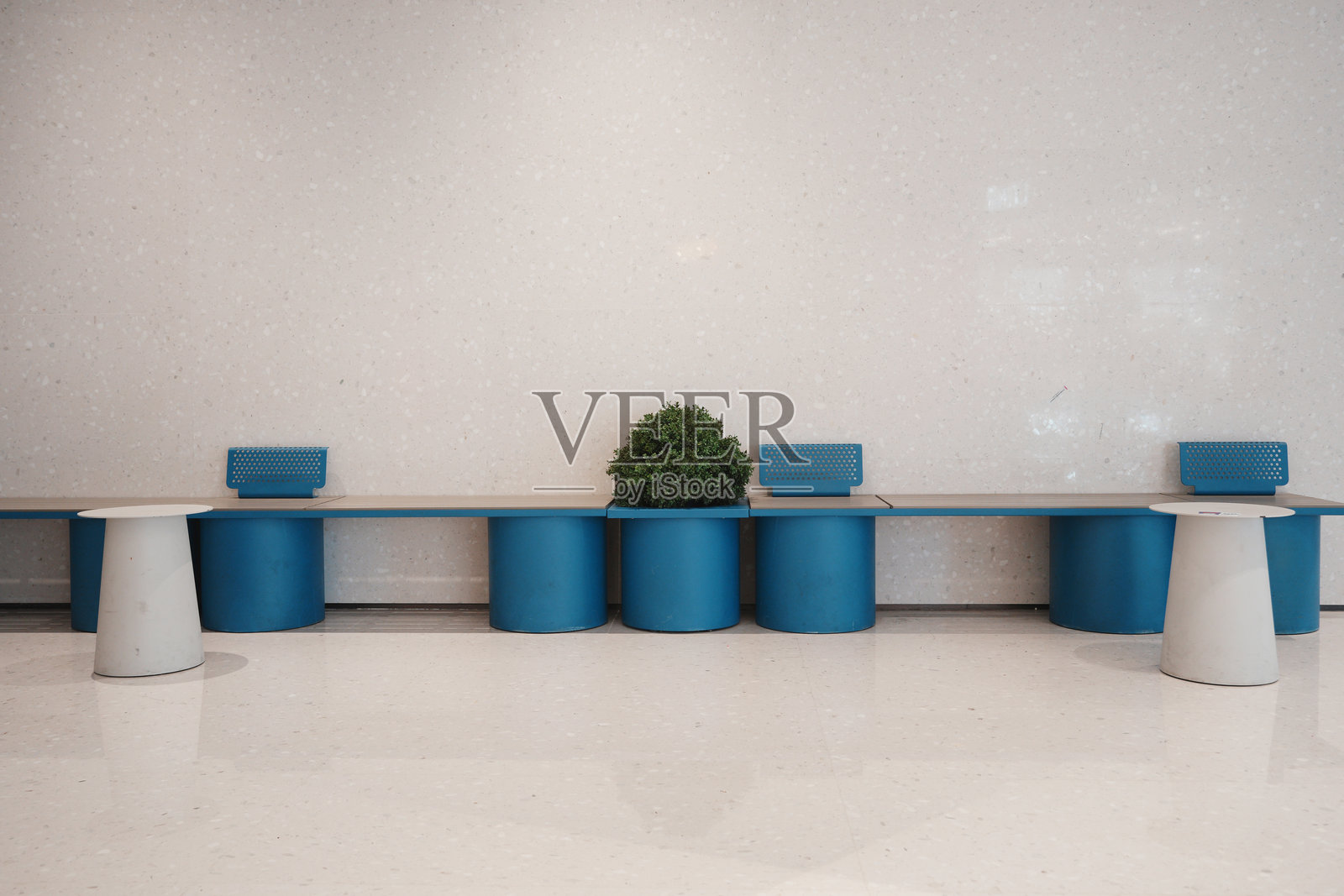 蓝色圆柱形长凳配绿植现代室内空间照片摄影图片