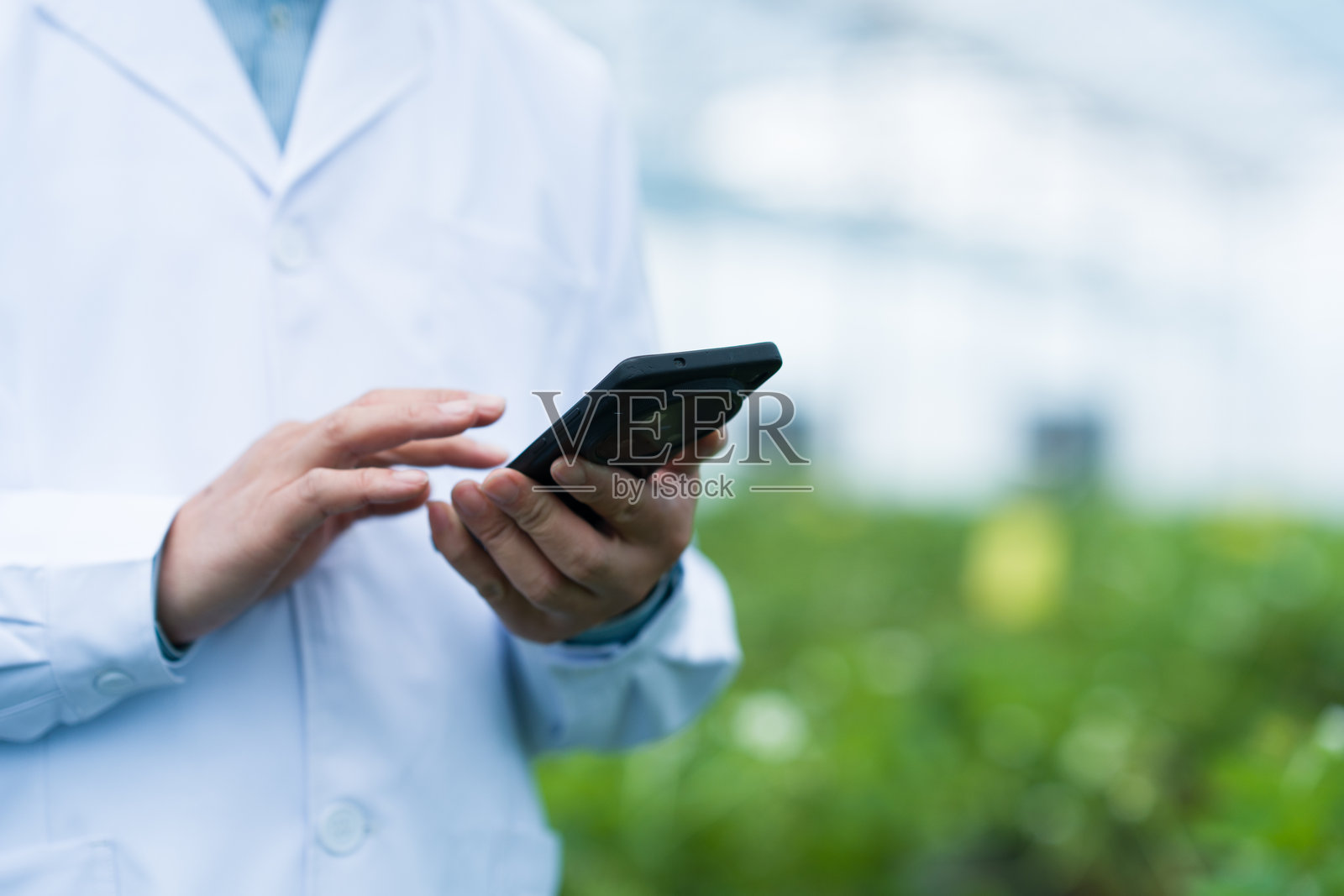 科研人员温室中操作智能设备照片摄影图片