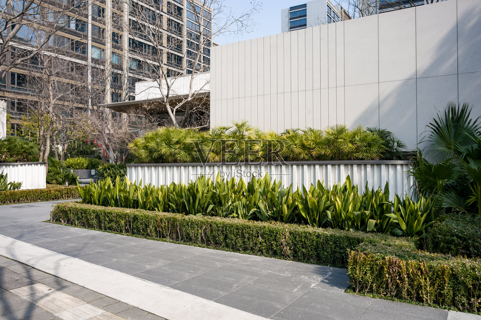 现代城市绿化带与高层建筑景观照片摄影图片