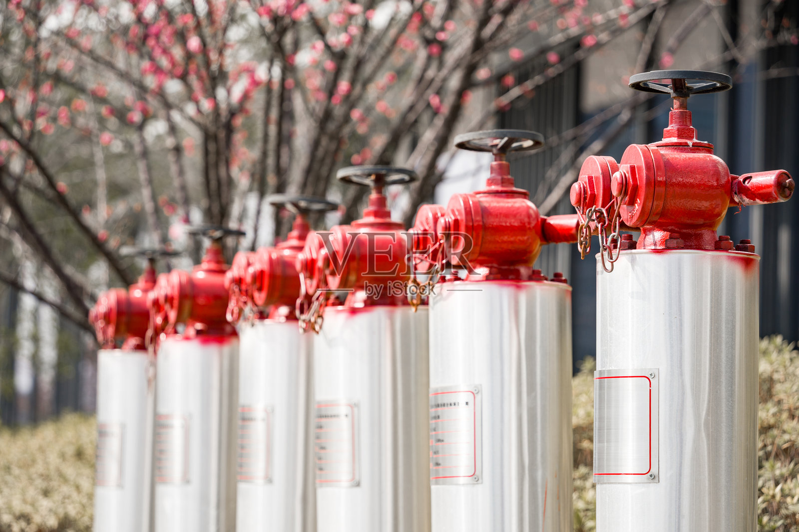 一排红色消防栓整齐排列于户外照片摄影图片