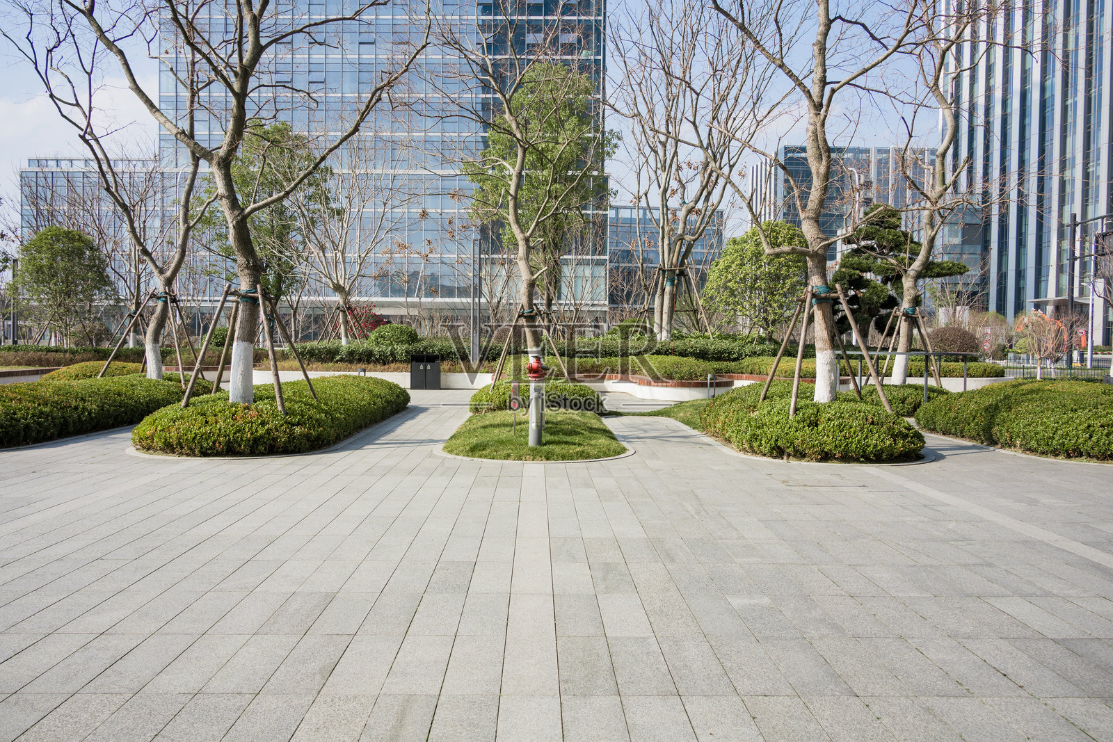 现代城市广场绿化带与玻璃幕墙建筑照片摄影图片