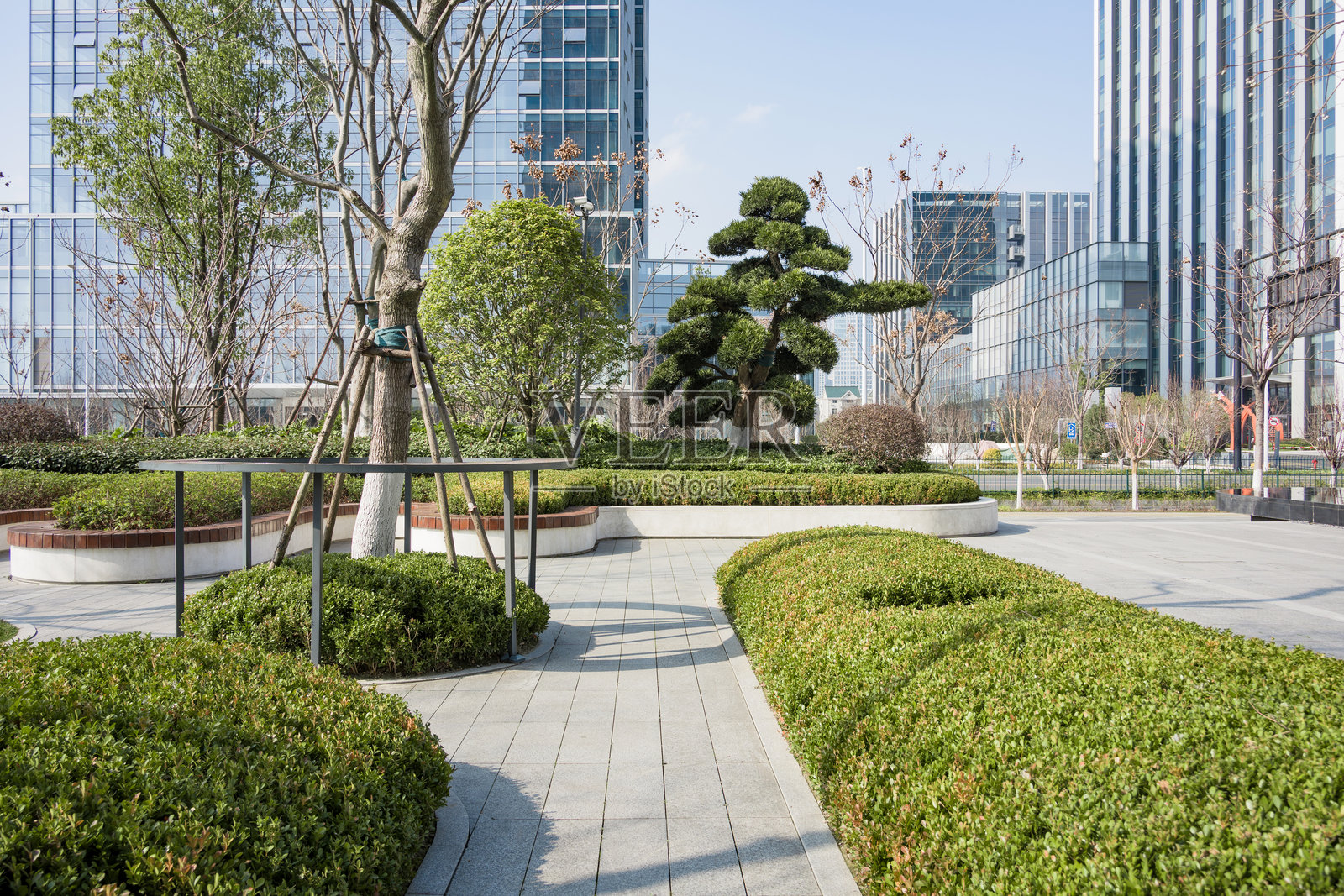 现代城市广场绿植景观与玻璃幕墙建筑照片摄影图片