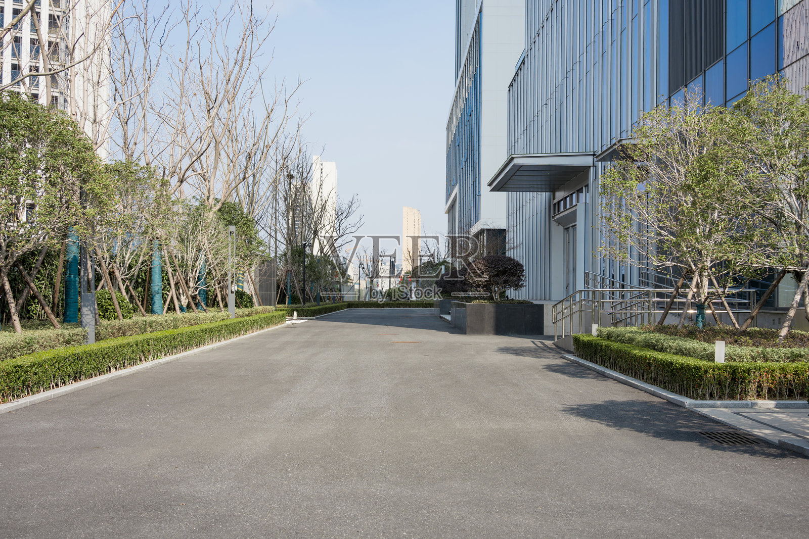 现代园区沥青道路两侧绿植与玻璃幕墙建筑照片摄影图片