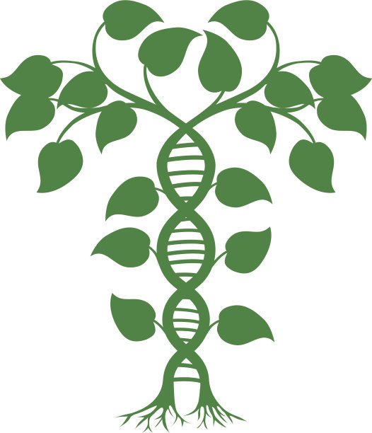 DNA自然植物图片 DNA自然植物图片下载
