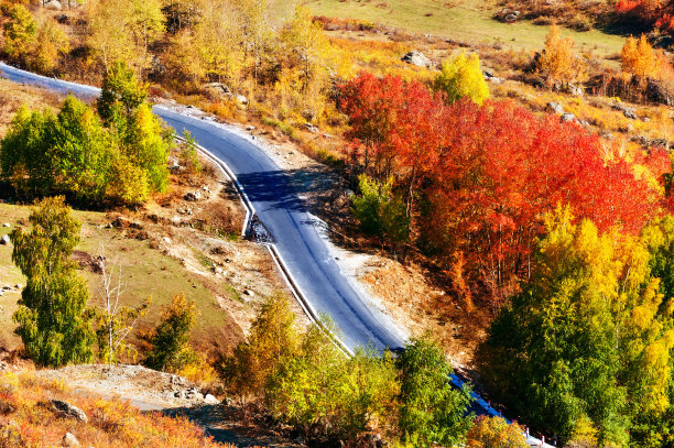 在秋天的森林道路上转弯图片 在秋天的森林道路上转弯图片下载