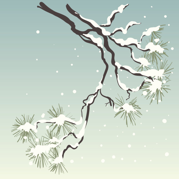 一幅白雪覆盖松树树枝的卡通画图片 一幅白雪覆盖松树树枝的卡通画图片下载