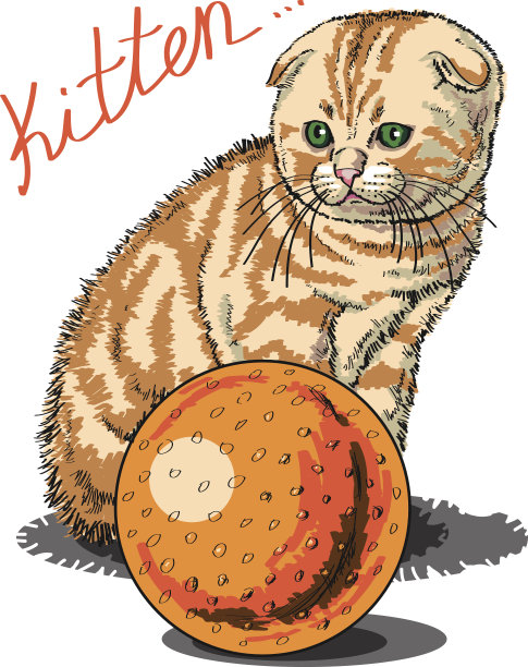 小猫图片 小猫图片下载