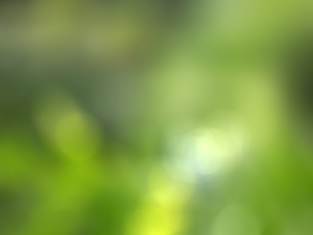 抽象模糊背景的网页设计,绿叶图片 抽象模糊背景的网页设计,绿叶图片下载