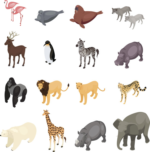 等距野生动物孤立在白色背景。图片 等距野生动物孤立在白色背景。图片下载