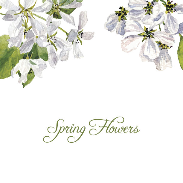 矢量背景与水彩苹果树花图片 矢量背景与水彩苹果树花图片下载