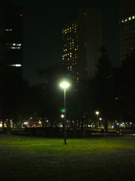 夜园街灯图片 夜园街灯图片下载
