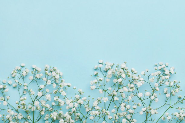 花背景假日。平的风格。副本的空间。古董。图片 花背景假日。平的风格。副本的空间。古董。图片下载