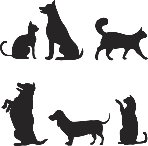 猫狗组合图片 猫狗组合图片下载