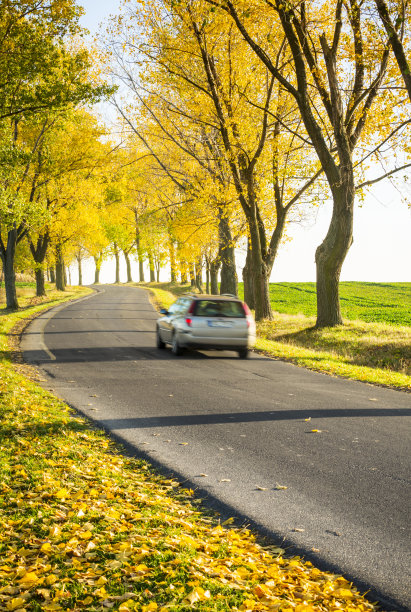 在田野间的路上超速行驶的汽车。图片 在田野间的路上超速行驶的汽车。图片下载