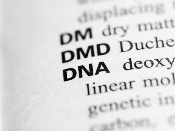 DNA的定义图片 DNA的定义图片下载