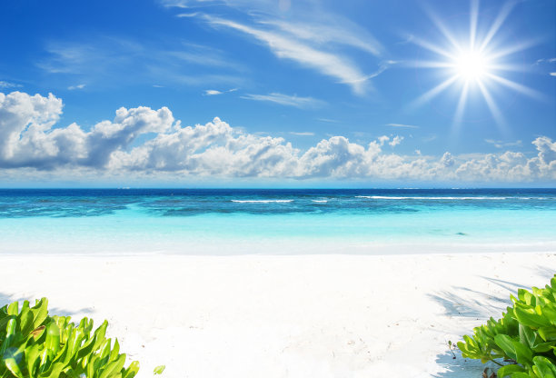 夏日的热带天堂海滩图片 夏日的热带天堂海滩图片下载