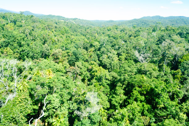 库兰达公园图片 库兰达公园图片下载