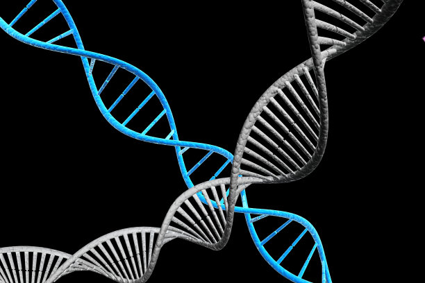 华氏DNA分子图片 华氏DNA分子图片下载