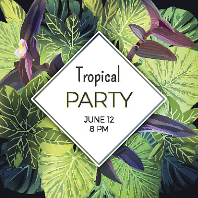 夏日热带派对传单模板与棕榈叶和异国情调的紫色花。向量的背景图片 夏日热带派对传单模板与棕榈叶和异国情调的紫色花。向量的背景图片下载