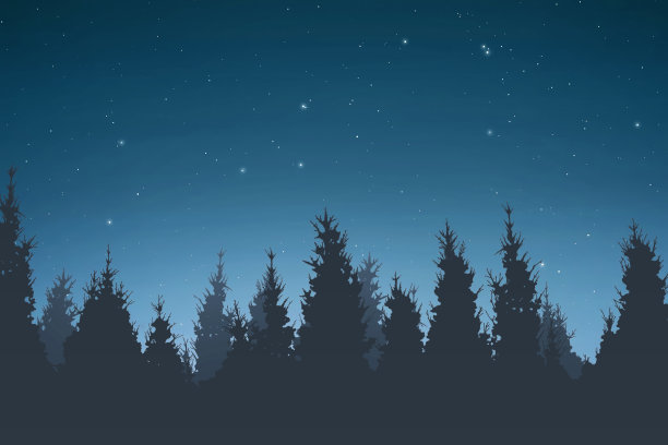 夜晚松树的剪影图片 夜晚松树的剪影图片下载
