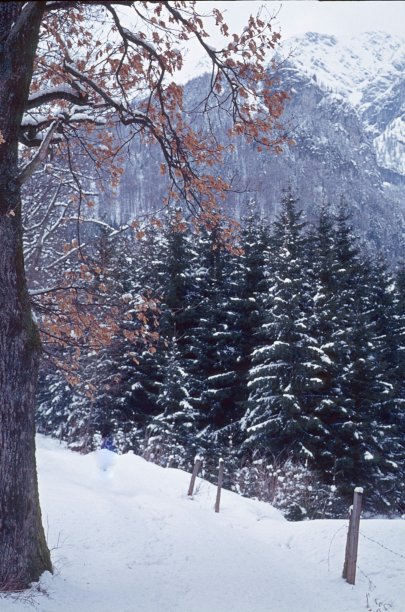 白雪皑皑的高山景观。图片 白雪皑皑的高山景观。图片下载