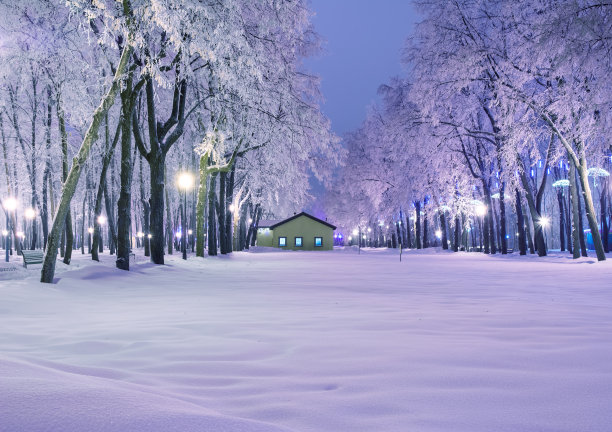 傍晚公园里令人惊叹的冬季景观。小屋,灯,雪和结霜的树。艺术照片。美丽的世界。图片 傍晚公园里令人惊叹的冬季景观。小屋,灯,雪和结霜的树。艺术照片。美丽的世界。图片下载