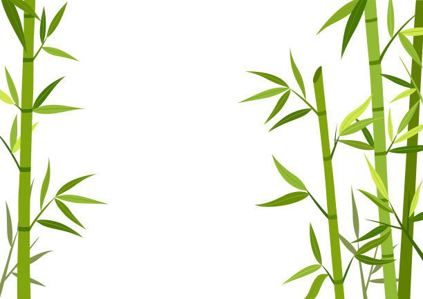 绿色的竹子背景图片 绿色的竹子背景图片下载