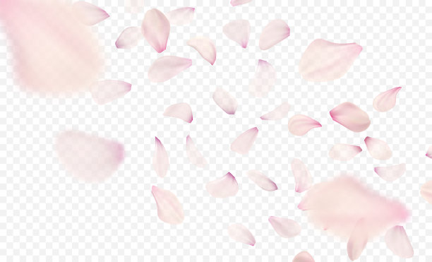 粉红色樱花落花背景。矢量图图片 粉红色樱花落花背景。矢量图图片下载