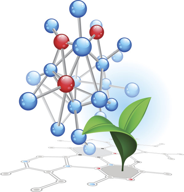 分子和发芽图片 分子和发芽图片下载