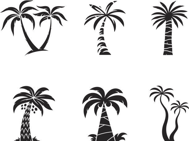 棕榈树图片 棕榈树图片下载