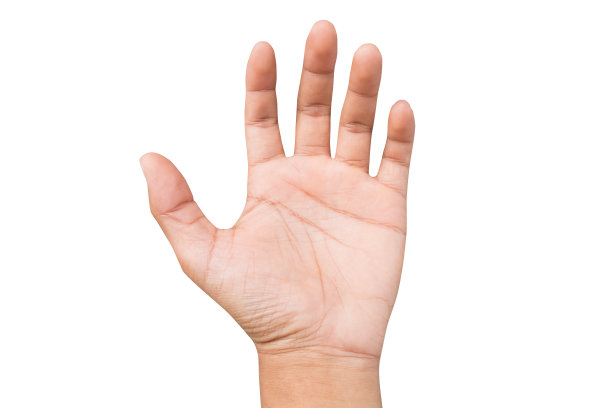 一个男人的左手是用来向别人借东西的。空满手向上。在白色背景上隔离图片 一个男人的左手是用来向别人借东西的。空满手向上。在白色背景上隔离图片下载