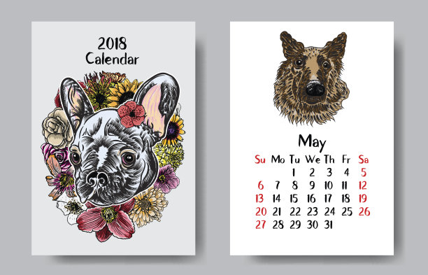 日历2018月与画彩色狗。春节、狗年生肖卡片模板。向量。图片 日历2018月与画彩色狗。春节、狗年生肖卡片模板。向量。图片下载