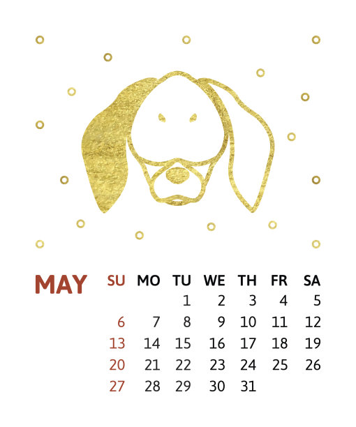 狗日历卡图片 狗日历卡图片下载