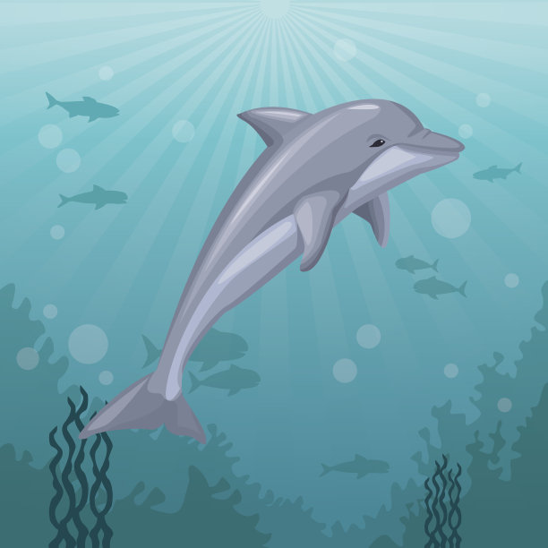 丰富多彩的背景海洋景观水下海洋生物和哺乳动物海豚图片 丰富多彩的背景海洋景观水下海洋生物和哺乳动物海豚图片下载