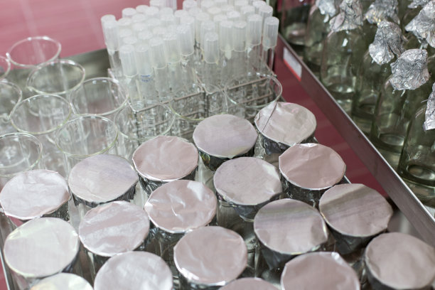 微生物学研究用玻璃器皿的灭菌。图片 微生物学研究用玻璃器皿的灭菌。图片下载