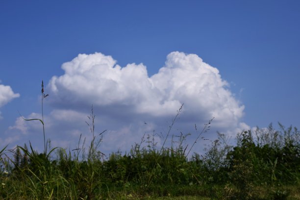 沿河的风景图片 沿河的风景图片下载