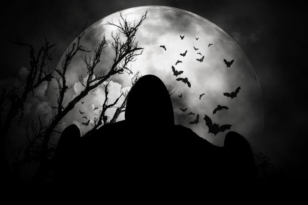 幽灵在可怕的万圣节之夜。万圣节的概念。图片 幽灵在可怕的万圣节之夜。万圣节的概念。图片下载