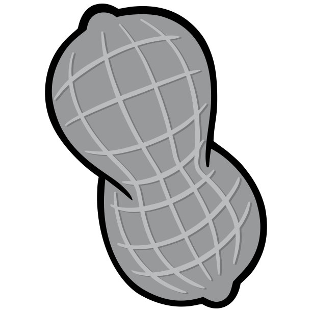 花生图标说明图片 花生图标说明图片下载