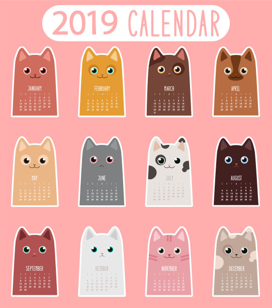 猫。2019年日历模板。向量贴纸图片 猫。2019年日历模板。向量贴纸图片下载