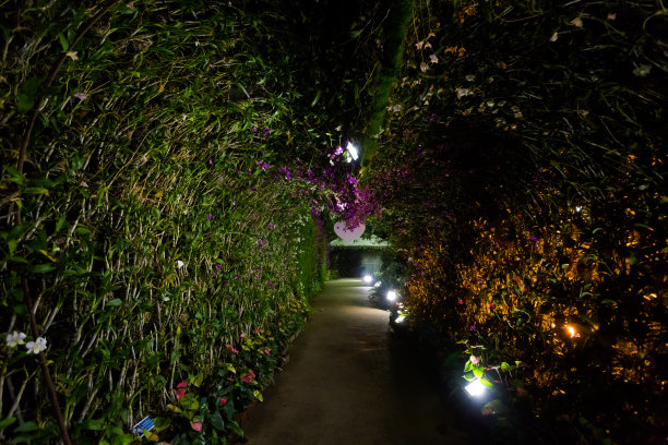 清莱的东花园图片 清莱的东花园图片下载