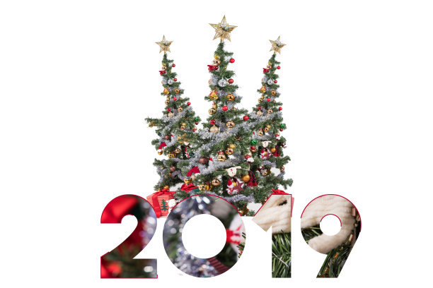 写2019与双重曝光在圣诞树上图片 写2019与双重曝光在圣诞树上图片下载