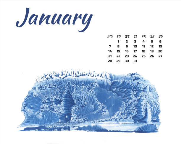 日历2019自然,森林在不同季节的白色背景上图片 日历2019自然,森林在不同季节的白色背景上图片下载